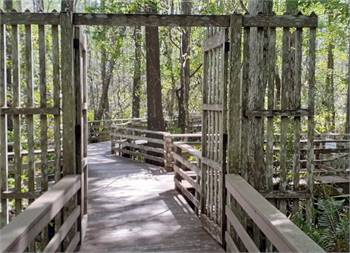 Audubon Corkscrew Swamp Sanctuary