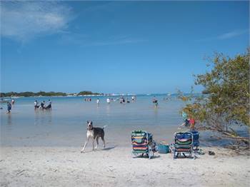 Lee County Parks & Recreation Dog Beach Parking