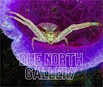 Due North Gallery
