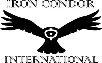 Iron Condor Inspection Services