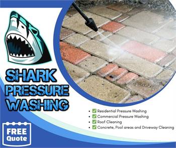 Shark Pressure Washing