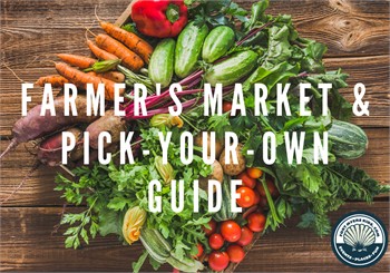 Fort Myers Farmer's Market and Pick-Your-Own Guide